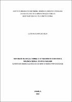 DISSERTAÇÃO_LUCIANA DE ARAÚJO SILVA.pdf.jpg