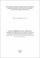 TESE_BÁRBARA NUNES FERREIRA BUENO_DOUT_DIR_2024.pdf.jpg