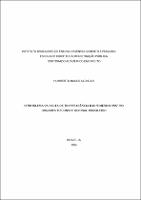 Tese_HUMBERTO NUNES ALENCAR_Doutorado em Direito Cosntitucional.pdf.jpg