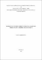 Dissertação_EVELYN MORENO WECK_Mestrado Profissional em Direito.pdf.jpg