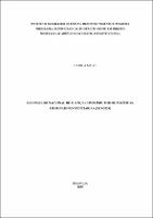 DISSERTAÇÃO_CAMILA MELO_MES.ACA. DIR. CONST._2025.pdf.jpg