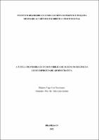 DISSERTAÇÃO_DIJEISON TIAGO RIOS NASCIMENTO _MESTRADO PROFISSIONAL EM DIREITO_2022.pdf.jpg