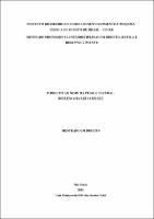 Dissertação_Luiz Gustavo de Oliveira Santos Aoki_Mestrado_2023.pdf.jpg
