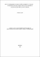 Tese_GRAZIELA LODI_Doutorado_2023.pdf.jpg