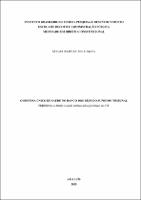 DISSERTACAO_PARCIAL_SERGIO FELIPE DE MELO SILVA_MES. ACA. DIR. CONST._2025.pdf.jpg