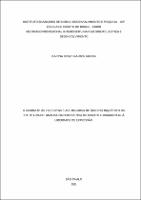 Dissertação_KARINA BROZE NAIMEG GROSSI_Mestrado_2021.pdf.jpg