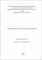 Dissertação_LETÍCIA SILVA CARNEIRO DE OLIVEIRA_Mestrado_2023.pdf.jpg