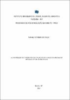 DISSERTACAO_RAFAEL FERREIRA DE SOUZA_MESTR ACA DIR_2024.pdf.jpg