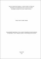 DISSERTAÇÃO_PAULO OSÓRIO GOMES ROCHA_MESTRADO ACADÊMICO EM DIREITO CONSTITUCIONAL_2022.pdf.jpg