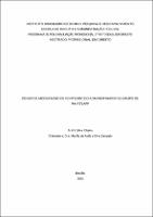 Dissertação_ANDRÉ SILVA RIBEIRO_Mestrado_2023.pdf.jpg