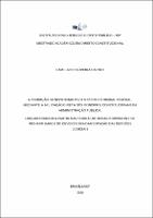 DISSERTACAO_CAMILA DE OLIVEIRA CASTRO_MESTRADO_2016.pdf.jpg