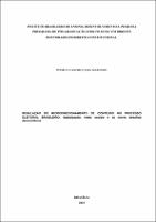 TESE_PEDRO LEANDRO LIMA MARINHO_DOUTDIR_2025.pdf.jpg