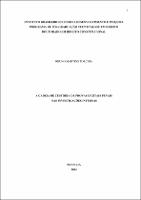 Tese_BRUNO MARTINS TORCHIA_Doutorado em Direito Constitucional.pdf.jpg
