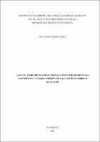 DISSERTACAO_Flávio Eduardo Wanderley Britto_MESTACADIR_2025.pdf.jpg