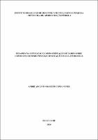 Dissertação_ANDRÉ AUGUSTO MARTINS COSTA NUNES_Mestrado em Administração Pública.pdf.jpg