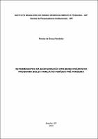 Dissertação_Renata de Souza Nardotto_Mestrado em Administração Pública.pdf.jpg