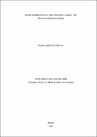 Dissertação_Rachel Barbosa Lopes Cavalcante Tirello_Mestrado Profissional em Direito (1).pdf.jpg