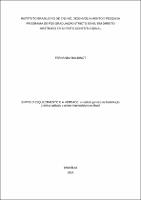 Dissertação__FERNANDA BALBINOT_Mestrado em Direito Constitucional.pdf.jpg