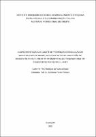Dissertação_Guilherme Theo Rodrigues da Rocha Sampaio_Mestrado Profissional em Direito (1).pdf.jpg