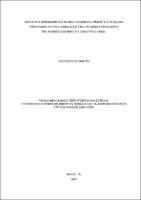 Tese_IGOR BARROS SANTOS_Doutorado em direito constitucional.pdf.jpg