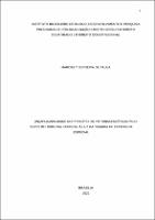 TESE_MARCIELY FERREIRA DE PAULA_DOUTORADO EM DIREITO CONSTITUCIONAL_2022.pdf.jpg