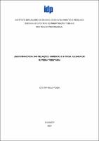 Dissertação_CYNTICA MELO ROSA_Mestrado Profissional em Direito.pdf.jpg