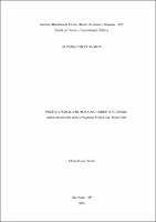 Dissertação_SILVANIA ANIZIO DA SILVA_Mestrado em Direito.pdf.jpg