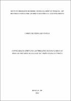 DISSERTACAO_CHRISTIANE RODRIGUES PANTOJA_MESTR PROF DIR_2024.pdf.jpg