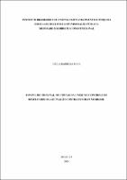 Dissertação_DEÍLA BARBOSA MAIA_Mestrado em direito constitucional.pdf.jpg