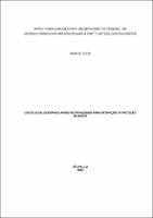 Dissertação_RODRIGO TOLER_Mestrado_Profissional_IDPSP_2.2020.pdf.jpg
