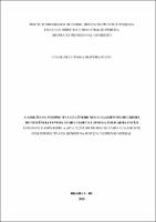 Dissertacao._MPD._Caroline_Piloni_versao_PARCIAL_2025.pdf.jpg