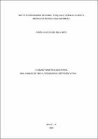 Dissertação_AFRÂNIO NEVES DE MELO NETO_Mestrado_2023.pdf.jpg