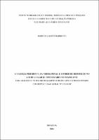 Dissertaçãp_MARCOS CAMPOS BARRETTO_Mestrado Acadêmico em direito.pdf.jpg