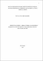 Dissertação_MICHELLE MACHADO CALDEIRA_Mestrado profissional em Direito, Justiça e Desenvolvimento.pdf.jpg