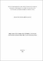 TESE_ WELSON DE ALMEIDA OLIVEIRA SOUSA_ DOU. ACA. DIR. CONST._2025.pdf.jpg