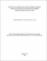 Dissertação_PEDRO HENRIQUE DO NASCIMENTO GRAVINA JOB_Mestrado em Direito Constitucional.pdf.jpg