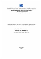 Dissertação_ANTÔNIO AVELAR SINFRÔNIO_Mestrado_2023.pdf.jpg