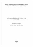 Dissertação_MARIO ASSIS GONÇALVES FILHO_Mestrado_2023.pdf.jpg