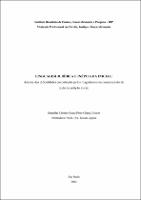 DISSERTACAO__JHENNIFER CRISTINE SOUZA PINTO CHANG COLARES_MESTR PROF DIR_2024.pdf.jpg