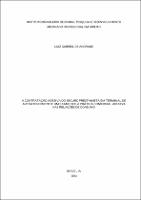 Dissertação_LUIZ GABRIEL DE ANDRADE_Mestrado_2023.pdf.jpg