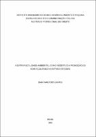 DISSSERTAÇÃO_ JEAN CARLO DOS SANTOS _ MESTRADO ACADÊMICO EM DIREITO.pdf.jpg