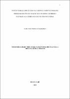 DISSERTACAO_IGOR VASCONCELOS SALDANHA_ESTRADO DIR_2022.pdf.jpg