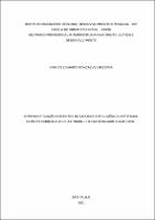 DISSERTAÇÃO_ CARLOS EDUARDO GONÇALVES BEZERRA_MESTRADO EM DIREITO.pdf.jpg