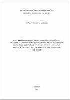 DISSERTAÇÃO_PAULA FERRO COSTA DE SOUSA_MESTRADO EM DIREITO.pdf.jpg