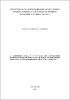 DISSERTAÇÃO_CAMILA BORGES DA SILVA FERREIR_MESTRADO EM DIREITO CONSTITUCIONAL.pdf.jpg