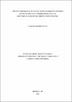 Dissertação_TIAGO MAGALHÃES COSTA_Mestrado_2022.pdf.jpg