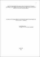 Dissertação_Danilo Mendes Sady_Mestrado Profissional em Direito.pdf.jpg