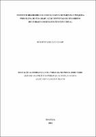 tese_Roberto Luis Luchi Demo_DOUTORADO DIR_2024.pdf.jpg