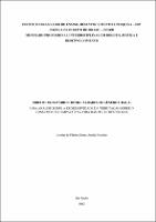 DISSERTACAO_ LORENA DE FÁTIMA SOUSA ARAÚJO NARCIZO_MESTRADO_2022.pdf.jpg